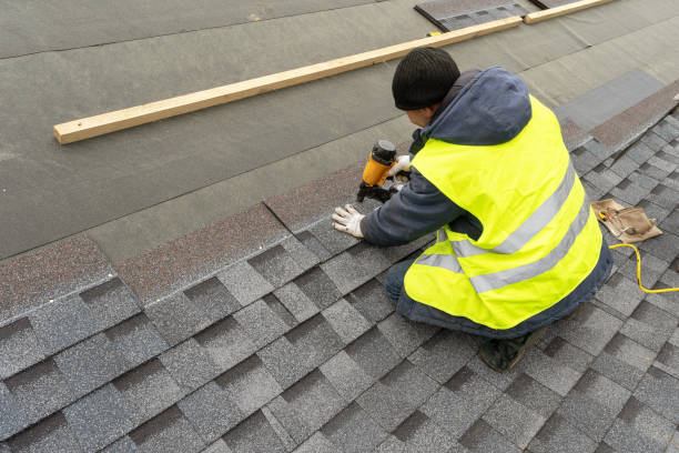 Best Roof Gutter Cleaning  in Nicholson, MS