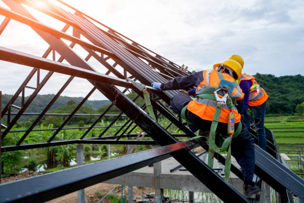 Best Roof Gutter Cleaning  in Nicholson, MS
