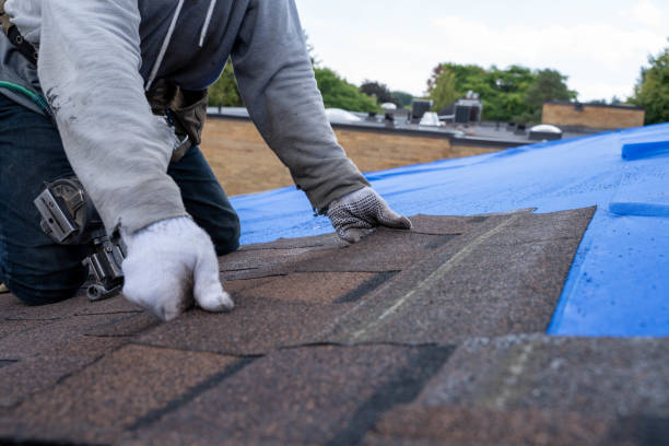 Best Gutter Installation and Roofing  in Nicholson, MS