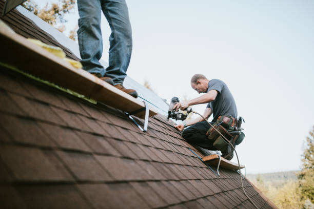 Quick and Trustworthy Emergency Roof Repair Services in Nicholson, MS